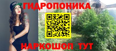 каннабис Обь