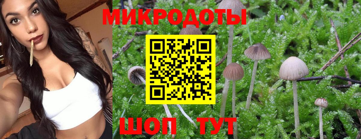 Сердобск  Псилоцибиновые грибы Psilocybine cubensis  Вход с VPN 