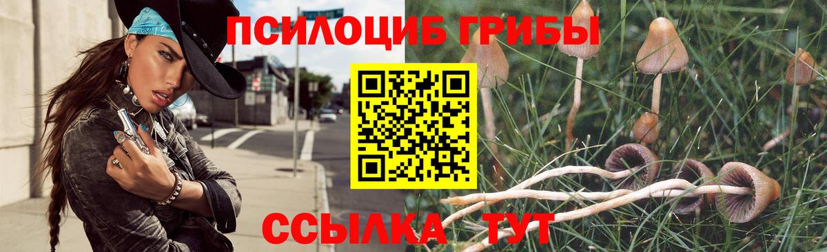 Псилоцибиновые грибы прущие грибы Сердобск